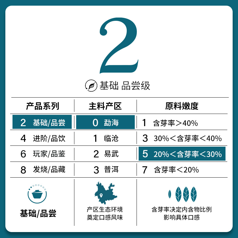 吉普号2024年春茶现货老班章一脉205小班章普洱茶叶生茶口粮茶 - 图3