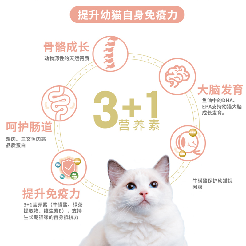 麦富迪猫粮幼猫专用1.5kg天然三文鱼油奶糕粮3斤1-12个月营养发腮 - 图0