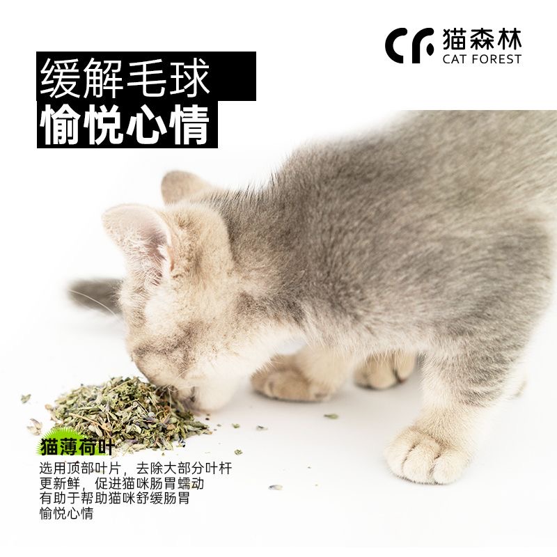 猫咪磨牙棒木天蓼猫薄荷福丸玲珑球猫咪零食成猫幼猫猫玩具防口臭