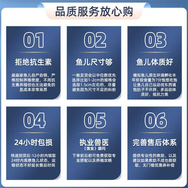 神仙鱼燕鱼红头墨燕蓝魔金仙雪仙淡水鱼小型鱼秘鲁神仙黑白熊猫仙 - 图2