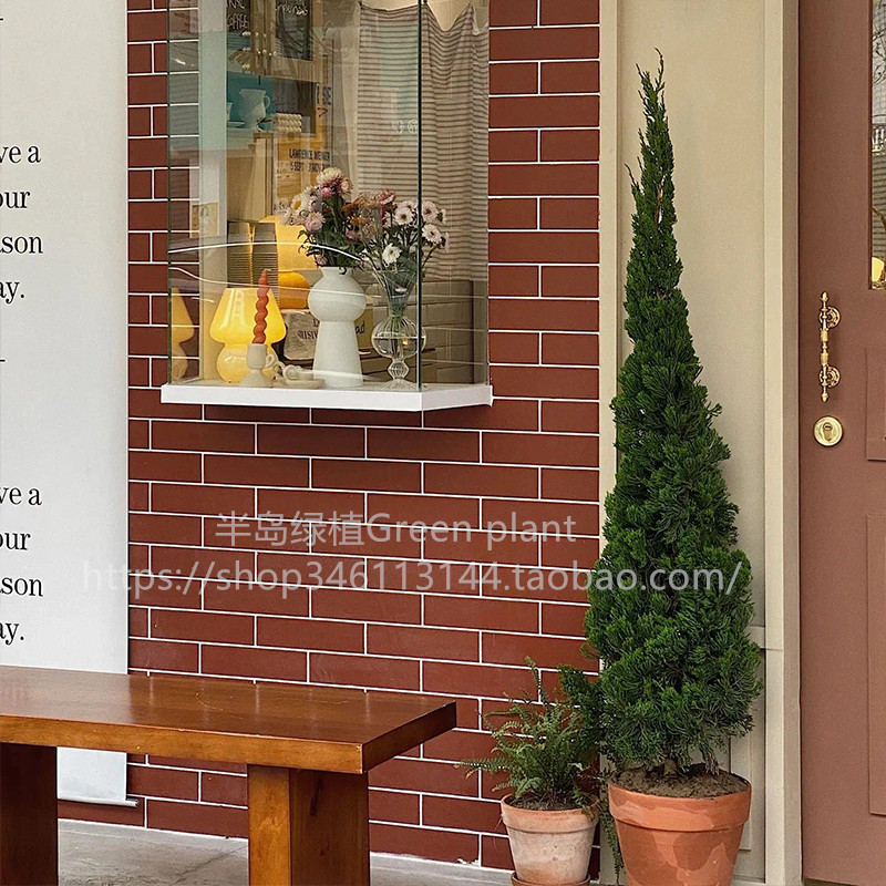 龙柏盆栽松柏塔松圣诞树室内客厅植物大型户外庭院好养侧柏真绿植,淘宝优惠券,粉丝福利购,淘宝优惠卷