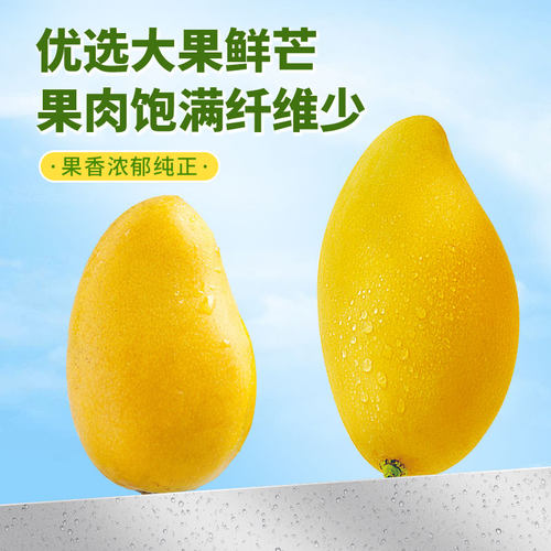 大片芒果干500g袋装水果干1000g果脯蜜饯果干网红休闲办公室零食 - 图0