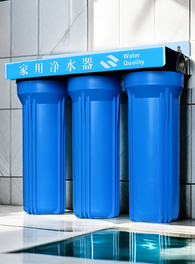 10寸蓝瓶前置过滤器大流量通用