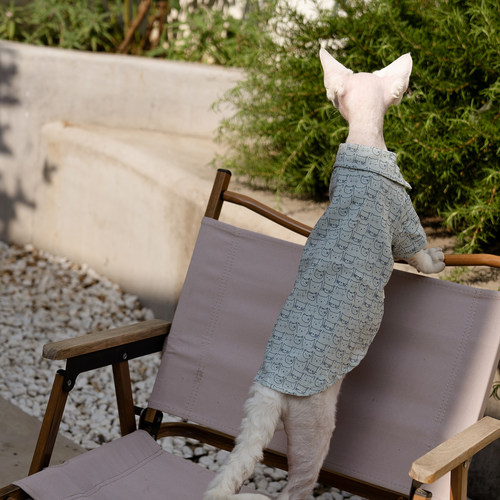 任发财可爱猫头衬衫无毛猫衣服德文衣服斯芬克斯猫纯棉透气 - 图3