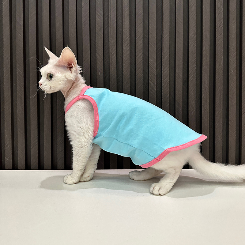 任发财撞色纯棉吊带透气好穿无毛猫衣服德文衣服斯芬克斯猫可爱 - 图0