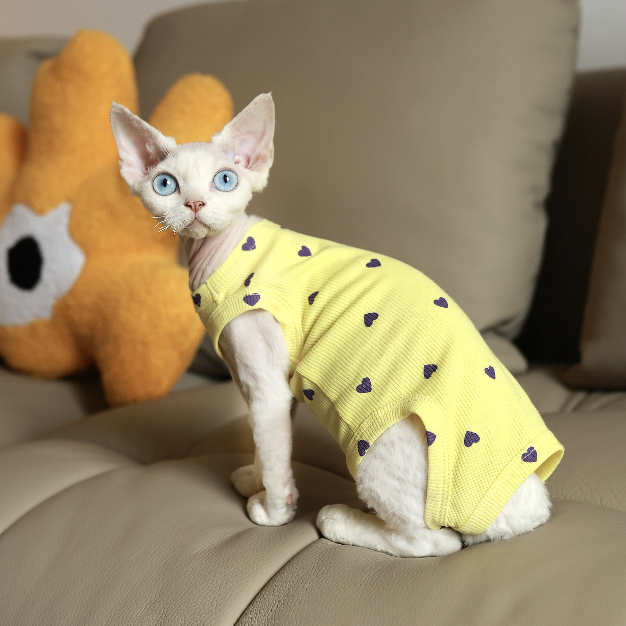 换季空调服防凉肚子四脚衣背心任发财无毛猫衣服斯芬克斯猫德文 - 图3