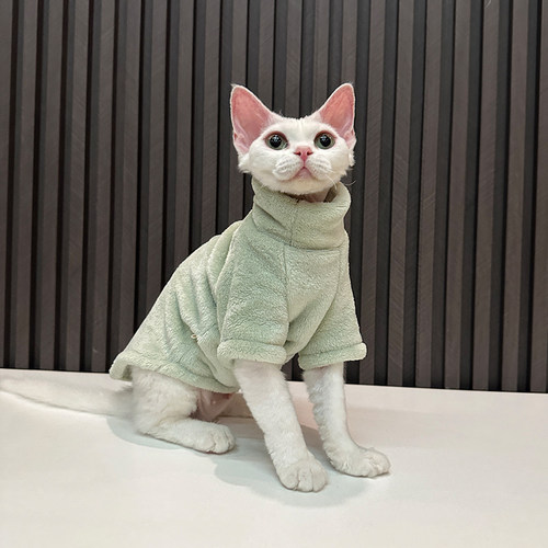 任发财无毛猫衣服斯芬克斯猫德文衣服貂绒打底加厚保暖舒适潮牌酷 - 图3
