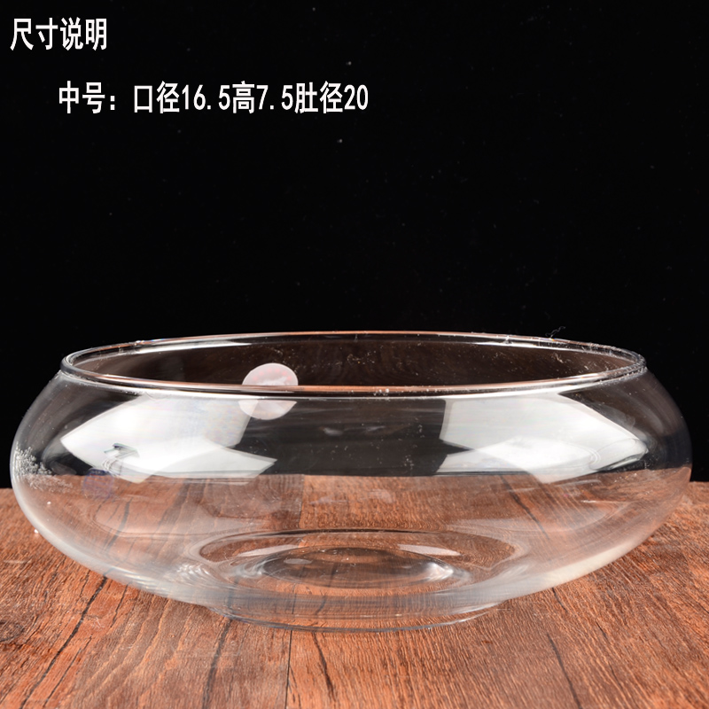 透明玻璃器皿花瓶水仙水培盆铜钱草碗莲水培花盆水培植物花瓶鱼缸 - 图1