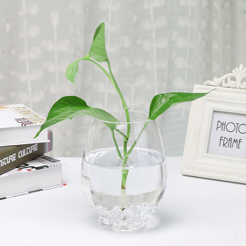 创意大号透明玻璃花瓶绿萝水培花瓶简约水养植物器皿鱼缸摆件,淘宝优惠券,粉丝福利购,淘宝优惠卷