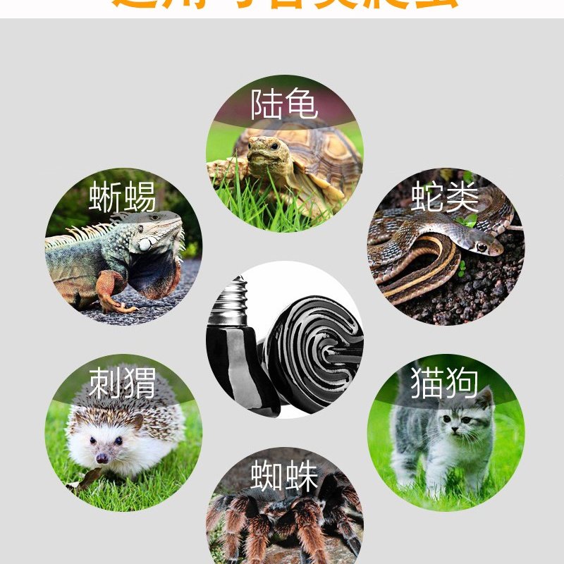 爬宠爬虫迷你陶瓷加热灯陆龟蜥蜴远红外宠物陶瓷灯泡保温取暖220V,淘宝优惠券,粉丝福利购,淘宝优惠卷