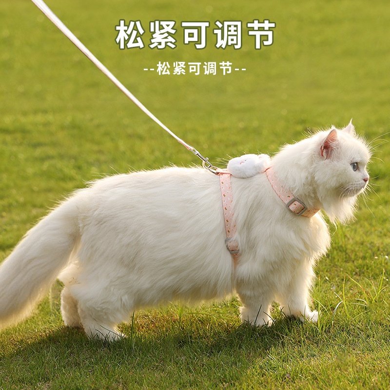 猫咪牵引绳防走丢可调节遛猫绳子幼猫外出用胸背带宠物狗用品,淘宝优惠券,粉丝福利购,淘宝优惠卷