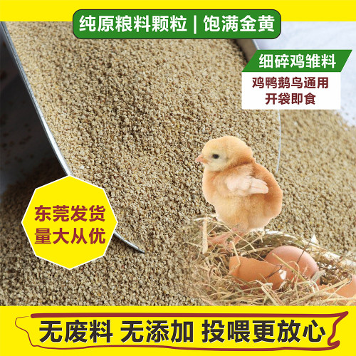 中小鸡饲料碎颗粒幼鸟开口食喂鸭鹅鹦鹉八哥鸽子破壳育雏粮吃 - 图1