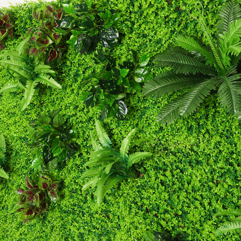 仿真植物墙配件绿植墙搭配草壁挂室内绿色装饰阳台电视背景墙 - 图2