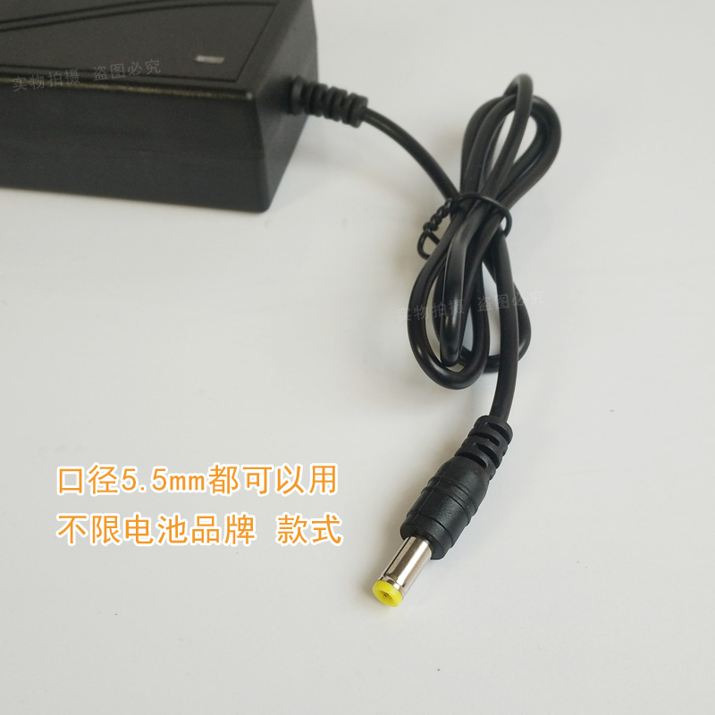 适用大艺款锂电池充电器座充南威德力西48 88 A3款2106锂电池座充 - 图3