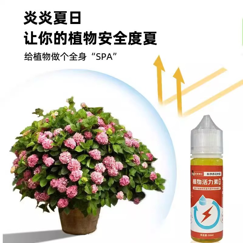 花草博士植物生长活力素养花用的浓缩通用型营养液花卉多肉肥料水 - 图1