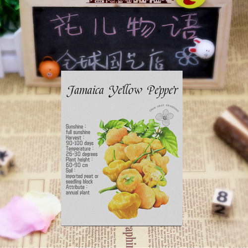 牙买加黄辣椒种子传家宝特辣皮薄高产家庭阳台春秋易种盆栽蔬菜 - 图1