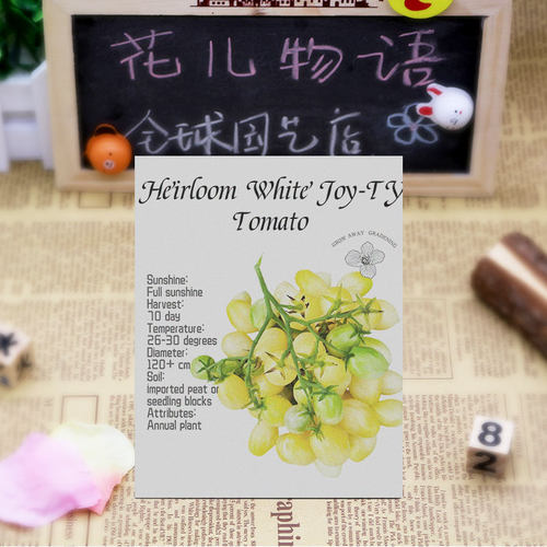 白妃番茄种子F1高产多汁抗裂纯甜高糖抗性强春秋阳台盆栽易种蔬菜 - 图1