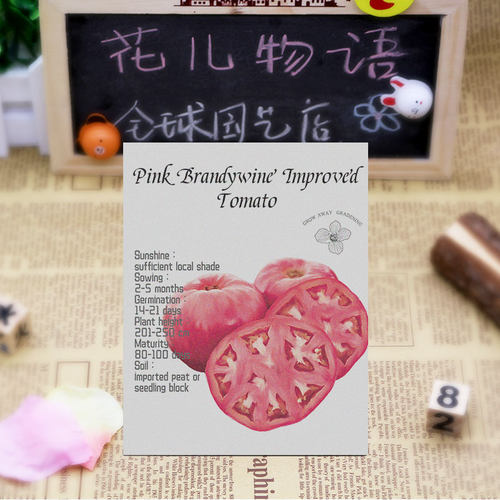 粉红白兰地牛排番茄种子多汁浓郁传家宝家庭阳台蔬菜盆栽老西红柿 - 图1
