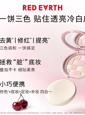 红地球定妆粉饼持久控油遮瑕气垫