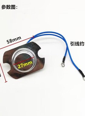 原厂电压力锅温度传感器通用电饭煲温控磁钢内带温控器电饭锅配件