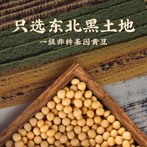李锦记 辣黄豆酱800g/瓶年糕烤肉蘸酱拌面拌饭酱 东北大酱 沾菜酱