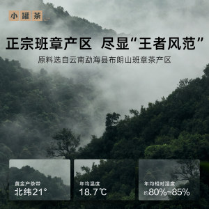 【端午礼盒】小罐茶年份茶班章普洱熟茶叶礼盒装陈年茶饼高档送礼