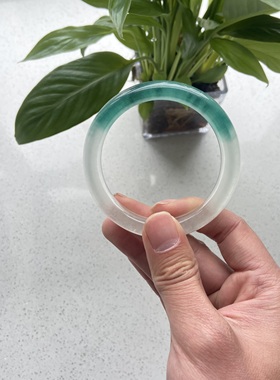 天然独龙玉玉镯半山水蓝花正圈平安镯高冰翡翠色种水手镯真玉正品