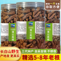 Long white mountain dandelion root tea large root fried and cooked wild mother-in-law Ding root canned Pu dandelion dried goods to raise raw tea