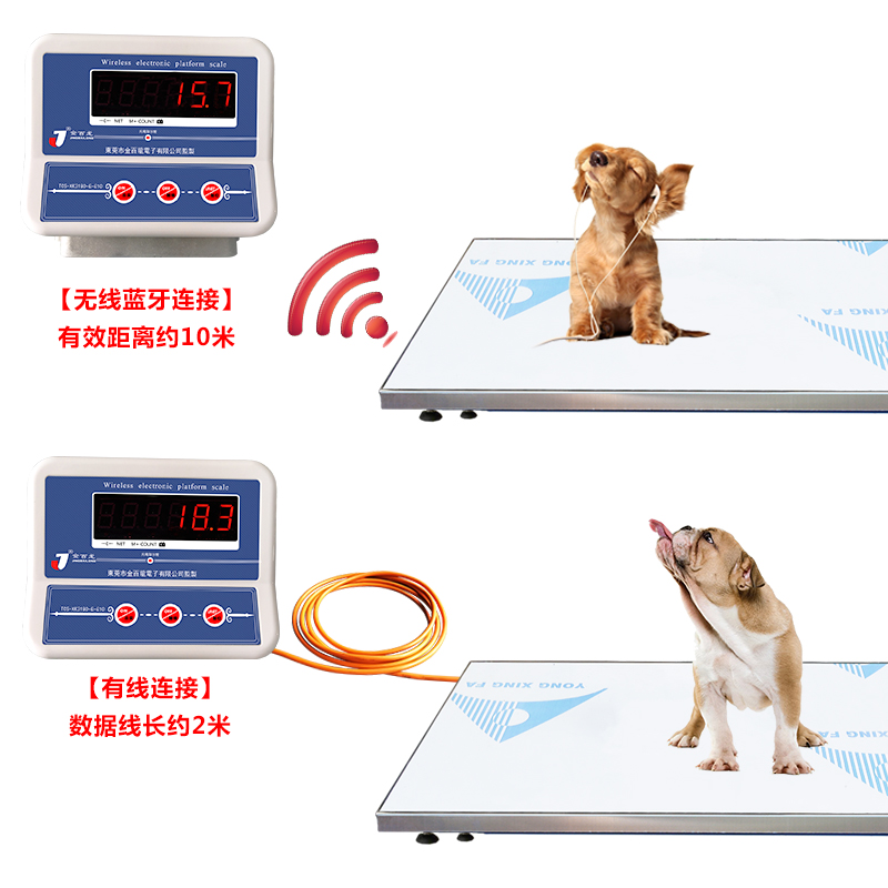 不锈钢精准体重宠物电子秤猫狗无线平台地磅秤动物医院专用电子称-图2