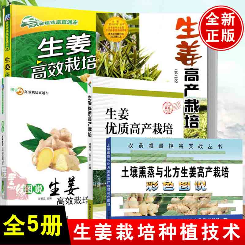 生姜种植 新人首单立减十元 21年9月 淘宝海外