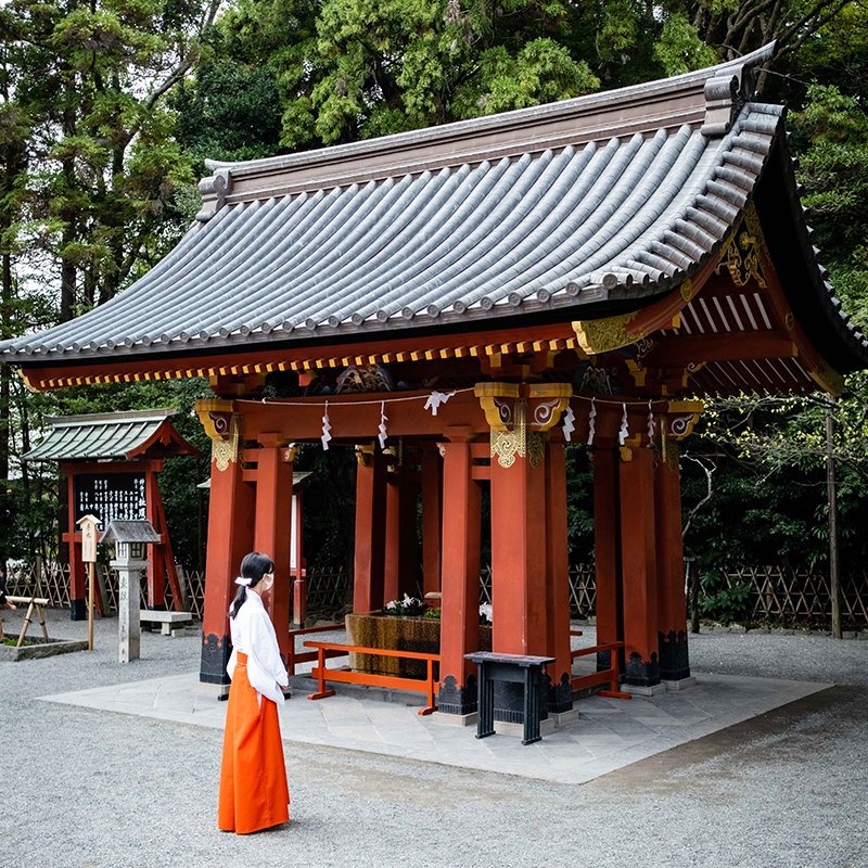 Easygo日本旅游关西大阪和歌山高野山一日游网红猫站长白滨温泉-图0