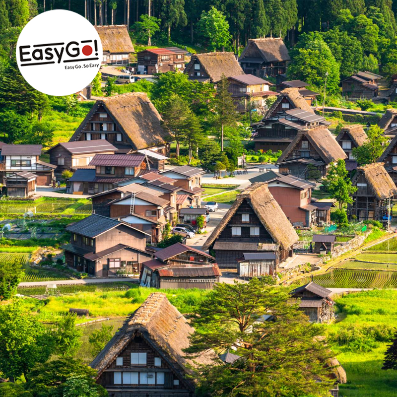 Easygo日本旅游名古屋飞驒高山白川乡展望台合掌村世界遗产一日游-图1