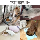 Собачья горшка чаша для кошачья чаша двойная чаша автоматическая питьевая вода для питания горшок для кошачья чаша кошка вода вода Антиочищенная рисовая чаша для животных питомцы