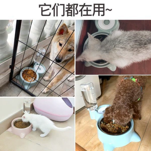 Собачья горшка чаша для кошачья чаша двойная чаша автоматическая питьевая вода для питания горшок для кошачья чаша кошка вода вода Антиочищенная рисовая чаша для животных питомцы