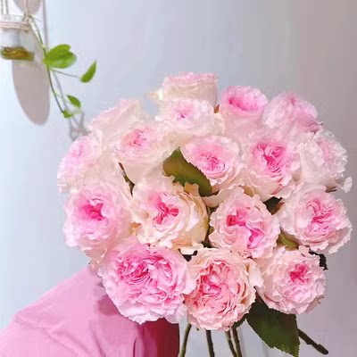 卡布奇诺粉红白玫瑰鲜花云南昆明基地直发同城速递多头泡泡母亲节 - 图0