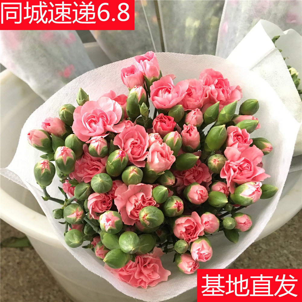 橙色芭比泡泡多头玫瑰鲜花花束云南基地直发粉百合情人节同城速递