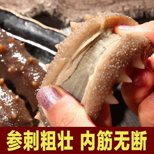 海栈干海参干货 速发深海刺参山东原产地特产海渗50g送礼盒 - 图1