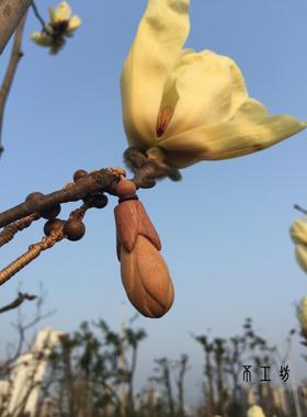 天然手工雕刻木质项链吊坠
