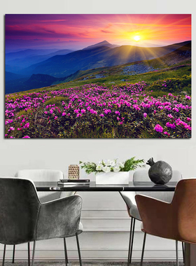 杜鹃花美景聚财画客厅卧室风景画