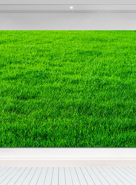 自然风光风景画绿色护眼草地草坪客厅卧室图辽阔草原风景自粘壁纸