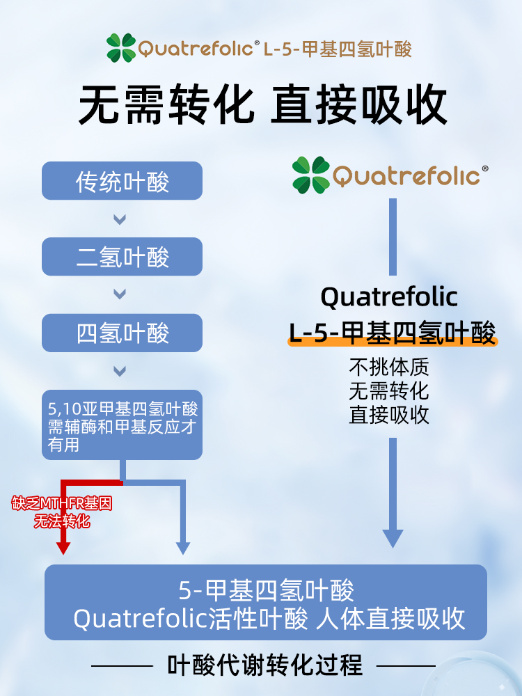 和丽康活性叶酸片中老年人孕妇男女降同型甲基叶酸正品官方旗舰店 - 图0