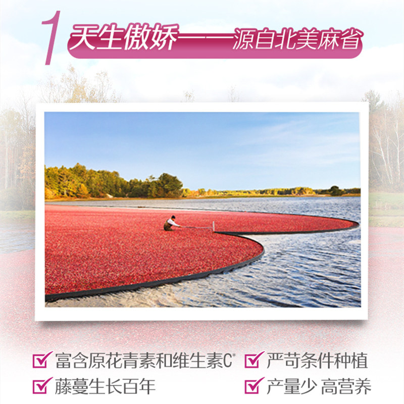 Swisse高浓度蔓越莓胶囊30粒女性私护私密保养益生菌