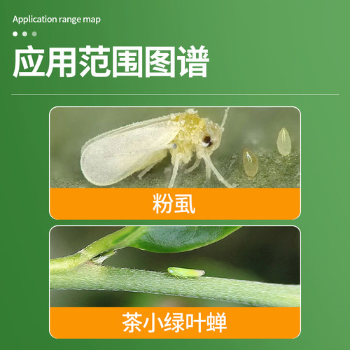 德治40％联苯菊酯噻虫啉 茶树粉虱茶小绿叶蝉茶业专用杀虫剂500g - 图1