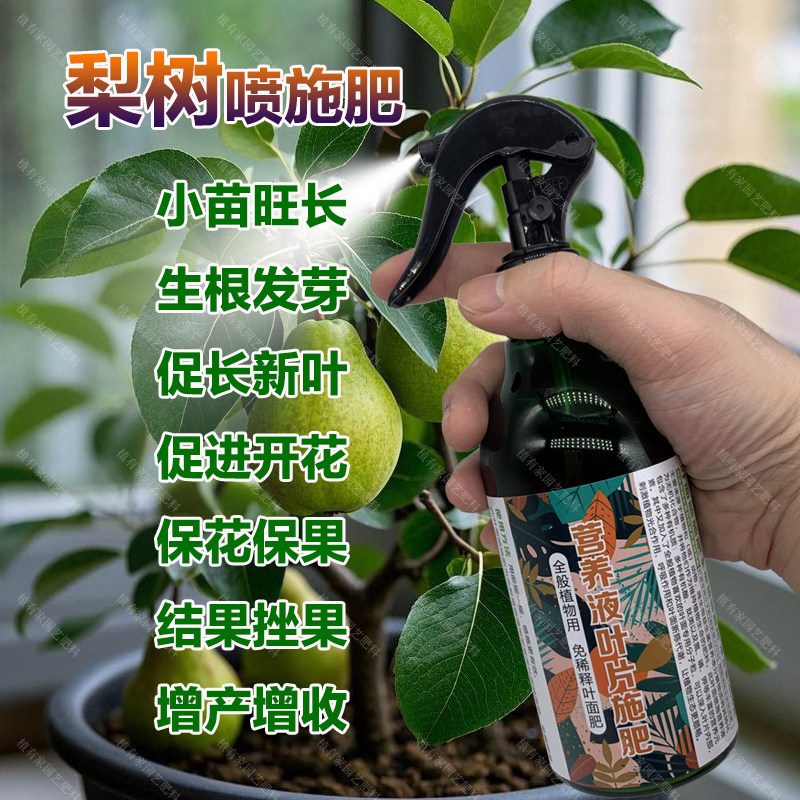 梨树专用肥料梨子果树苗营养液叶面肥有机肥盆栽种植土水溶化肥料,淘宝优惠券,粉丝福利购,淘宝优惠卷