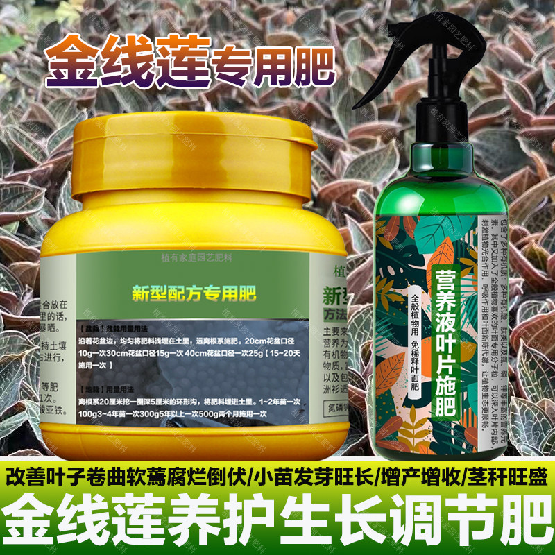 金线莲专用肥料种植苗土盆栽营养液叶子卷曲软蔫腐烂倒伏叶面肥料,淘宝优惠券,粉丝福利购,淘宝优惠卷