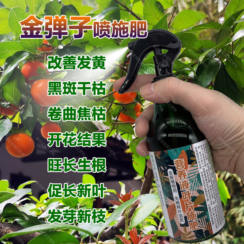 金弹子专用肥料老桩树苗盆景土培盆栽营养液金弹子树叶面肥花肥料,淘宝优惠券,粉丝福利购,淘宝优惠卷