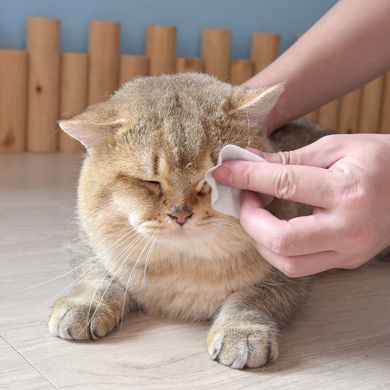 PURRY派锐100片宠物猫狗通用眼睛湿巾无酒精狗狗眼部湿巾 - 图2