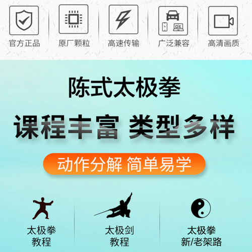 陈氏太极拳教程视频u盘陈式实用拳法24式32式太极剑新架老架优盘