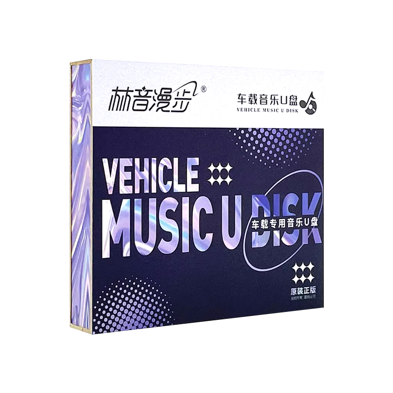 车载u盘网络流行新歌热门中文dj舞曲8090经典歌曲汽车音乐优盘 - 图2