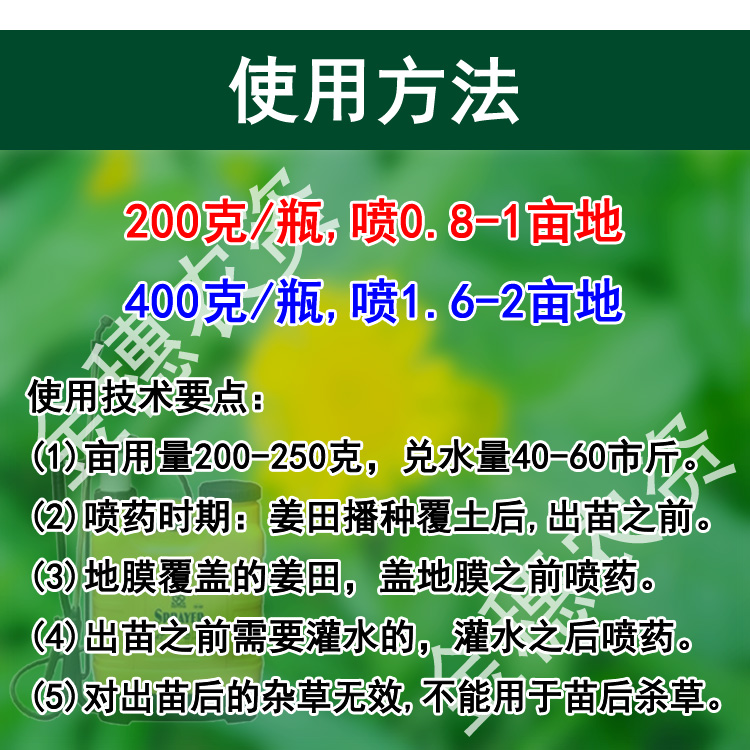 姜田除草剂苗前封闭芽前封地杀草籽生姜大姜肉姜白姜大蒜专用封闭 - 图2